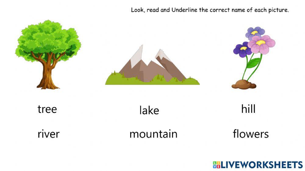 Different Activities