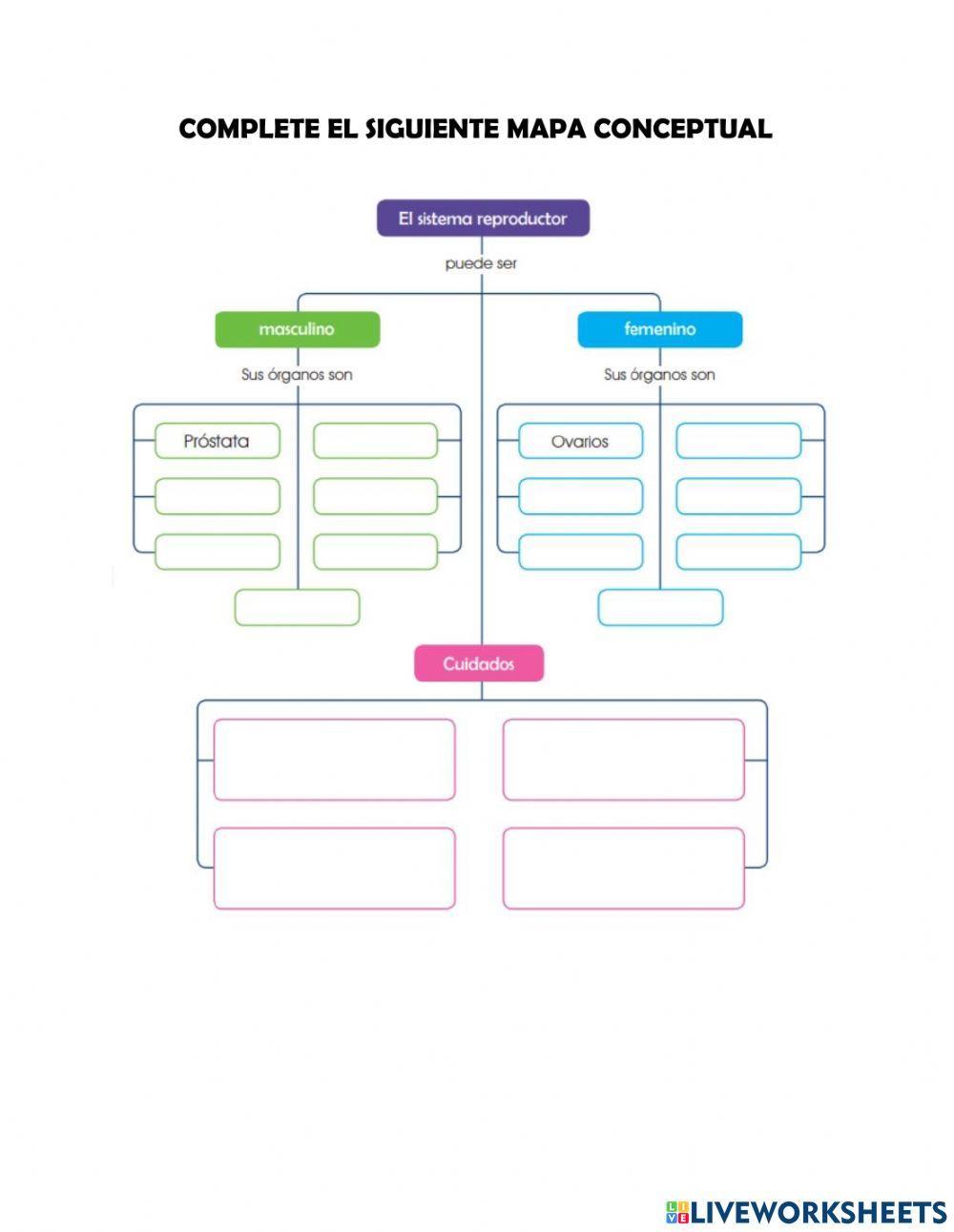 Sistema Reproductor Humano