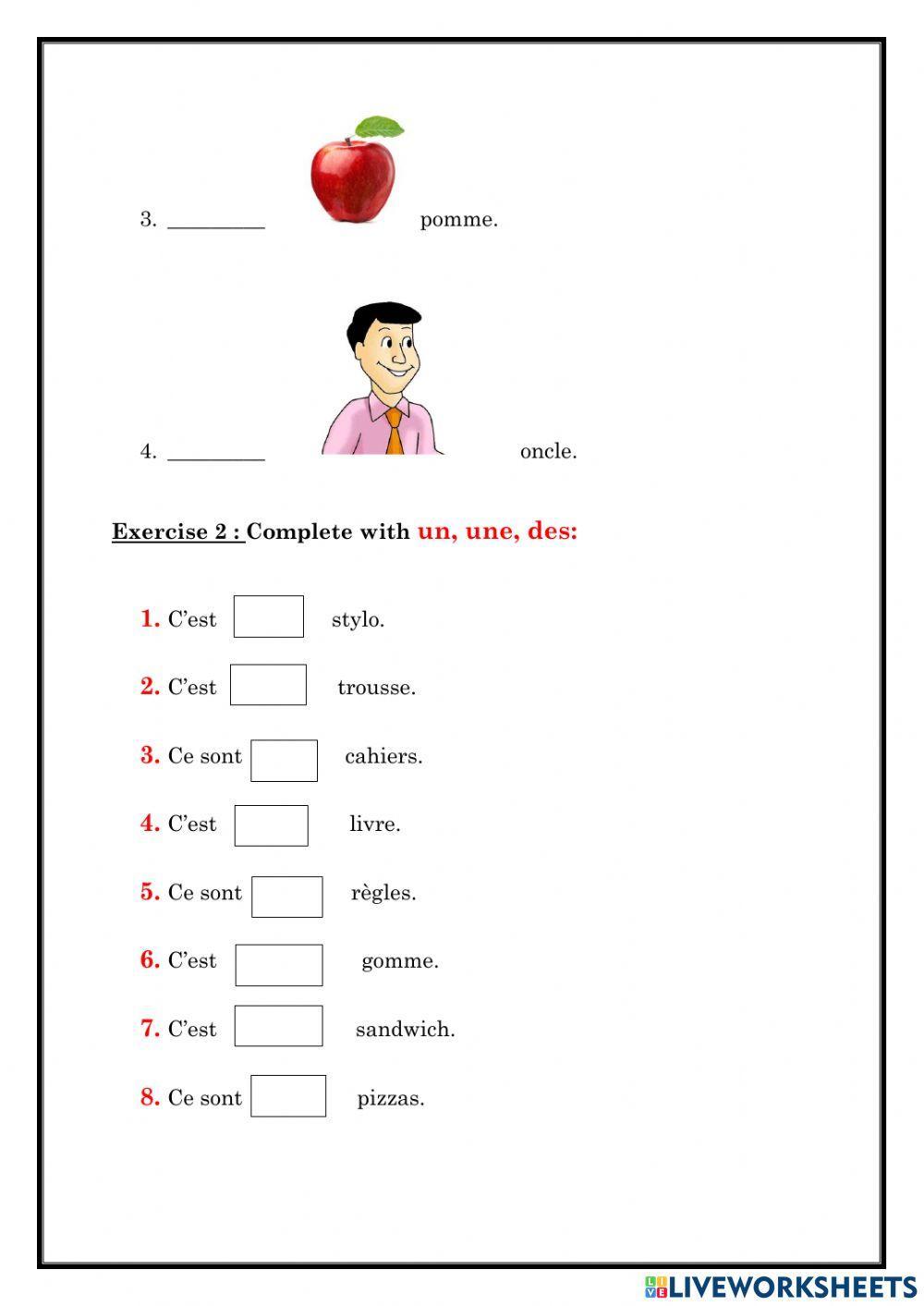 Practice exercises for French articles