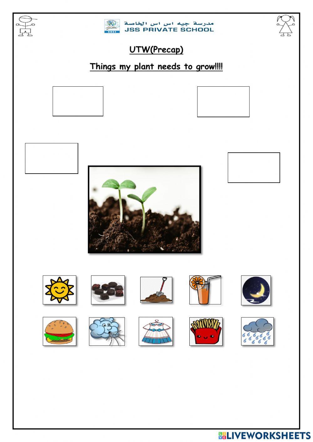 1022531 Parts of plant Keerthi Vinod