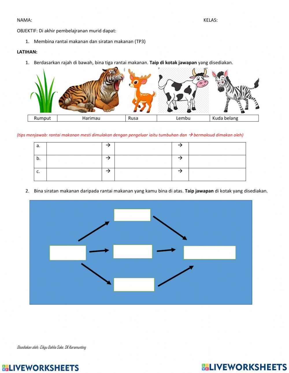 Rantai dan siratan makanan