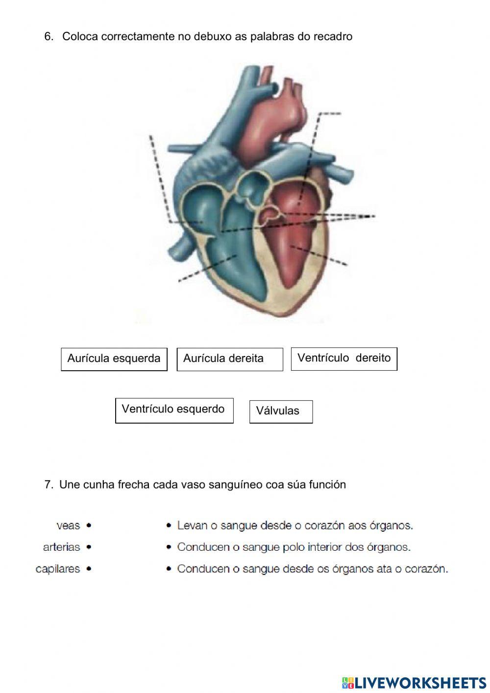 Avaliación: Función de Nutrición