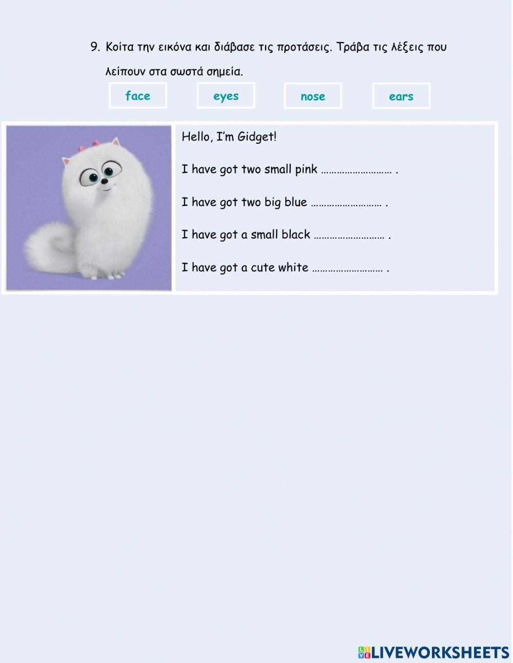 Elementary 1 Have got-Has got