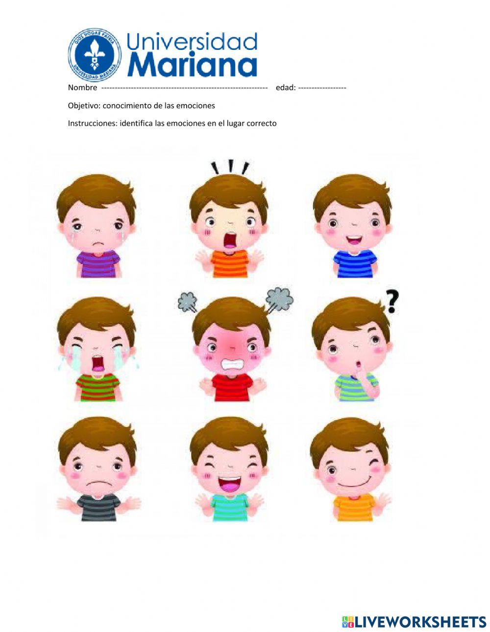 Emociones 2