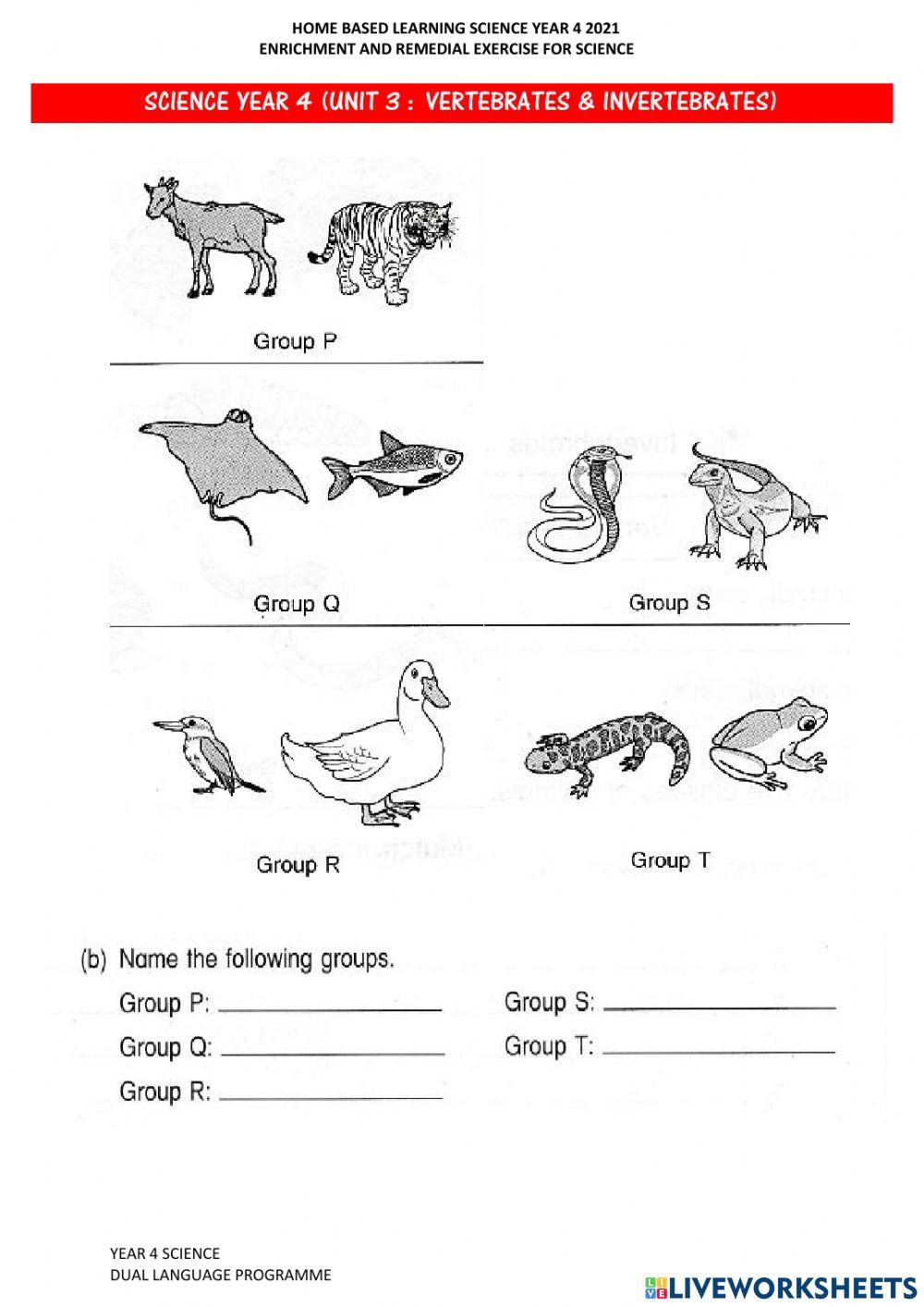 Year 4 Science : Vertebrates & Invertebrates