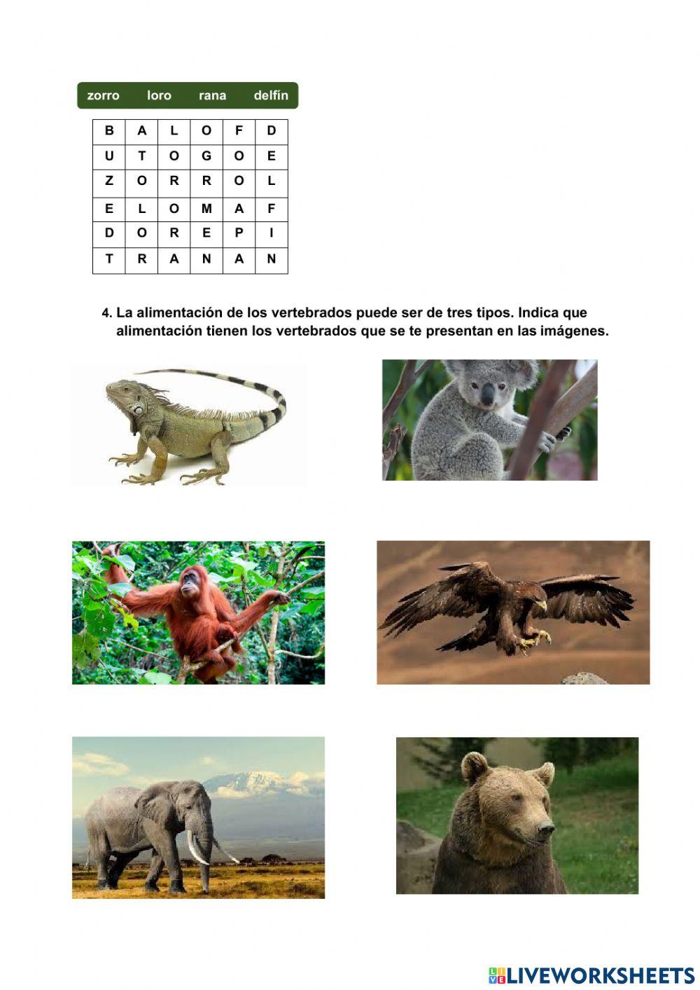 Evaluación Ciencias vertebrados tercero