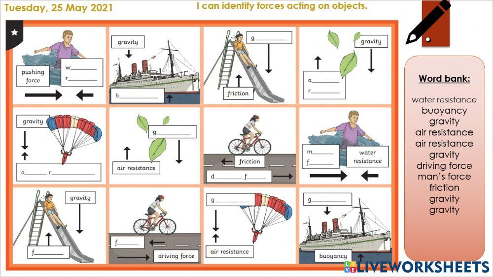 Forces and motion: Tuesday's Activity