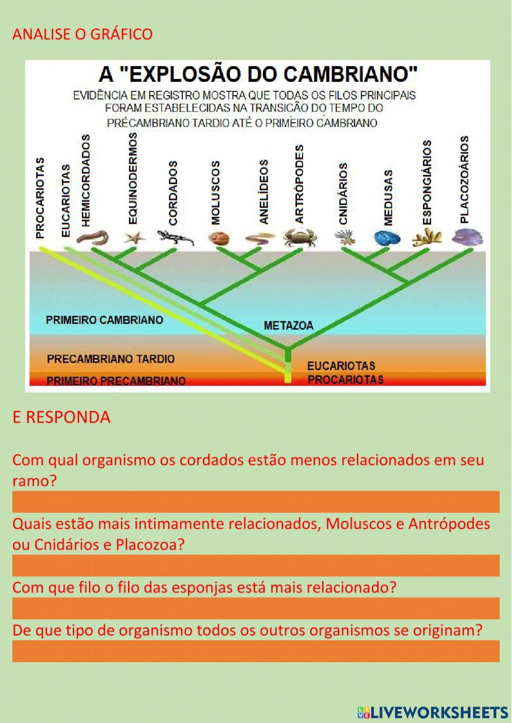 cladograma de invertebrados