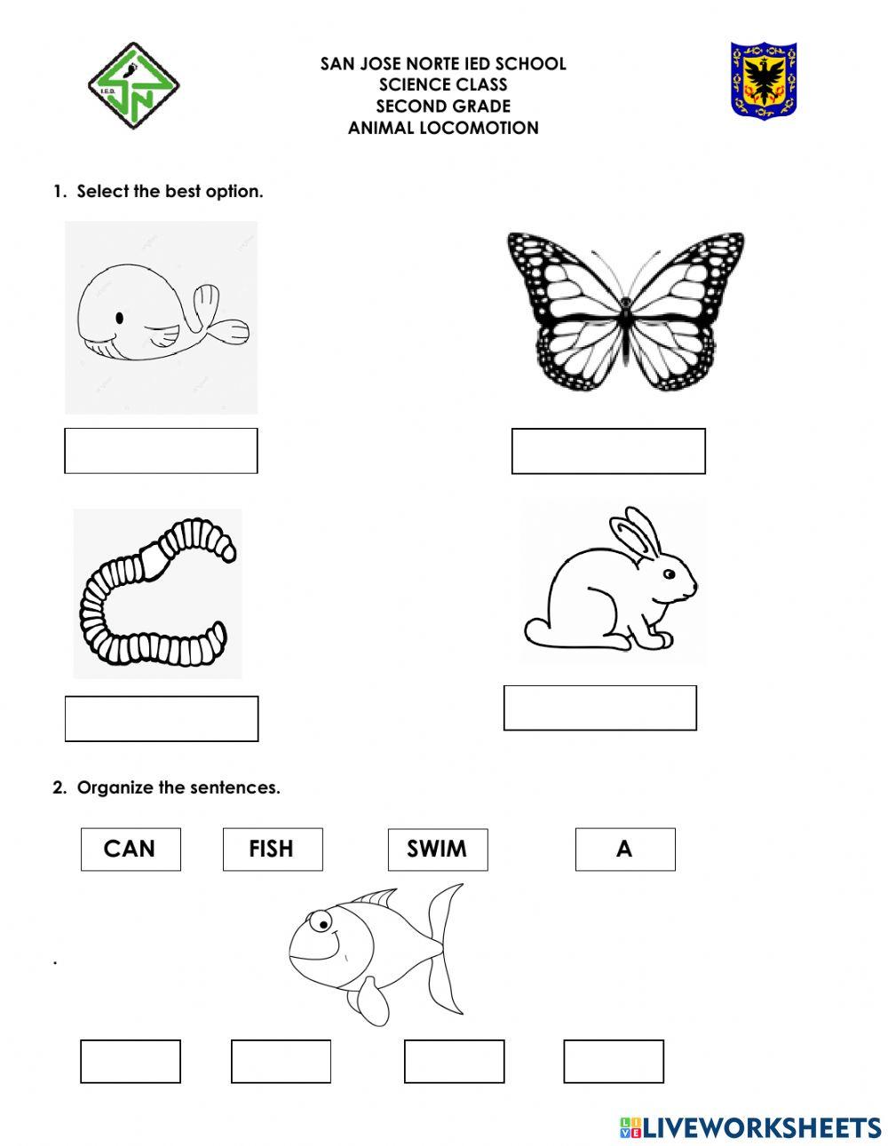 Animal movements | Free Interactive Worksheets | 1023669