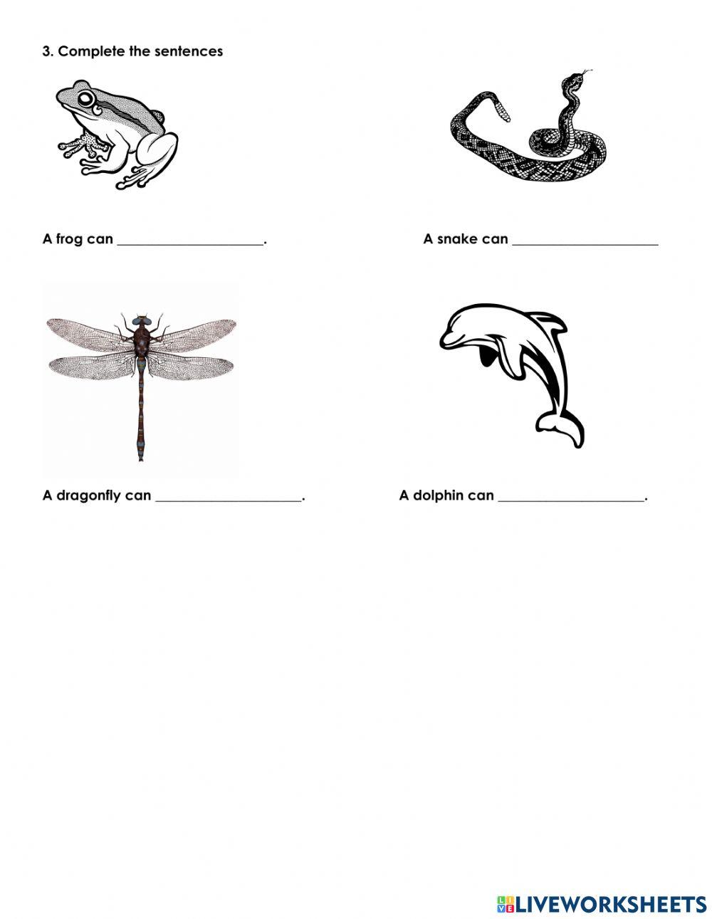 Animal movements | Free Interactive Worksheets | 1023669