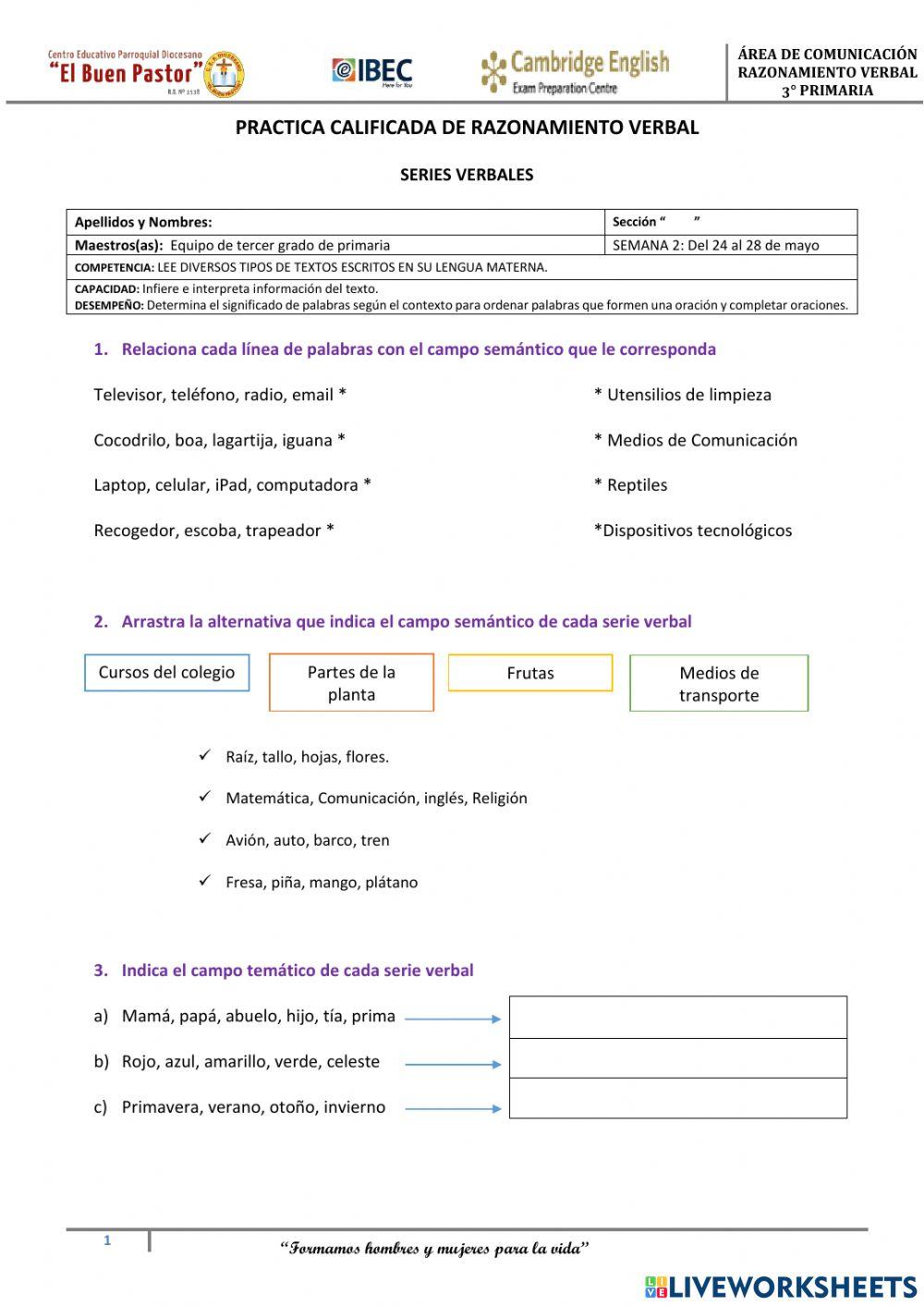 Práctica Calificada RV 3
