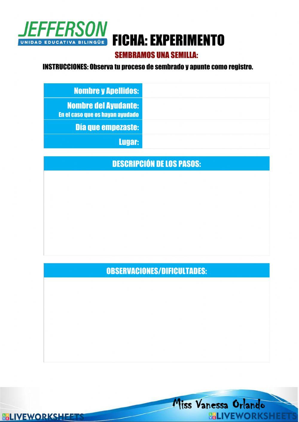 Ficha de Observación