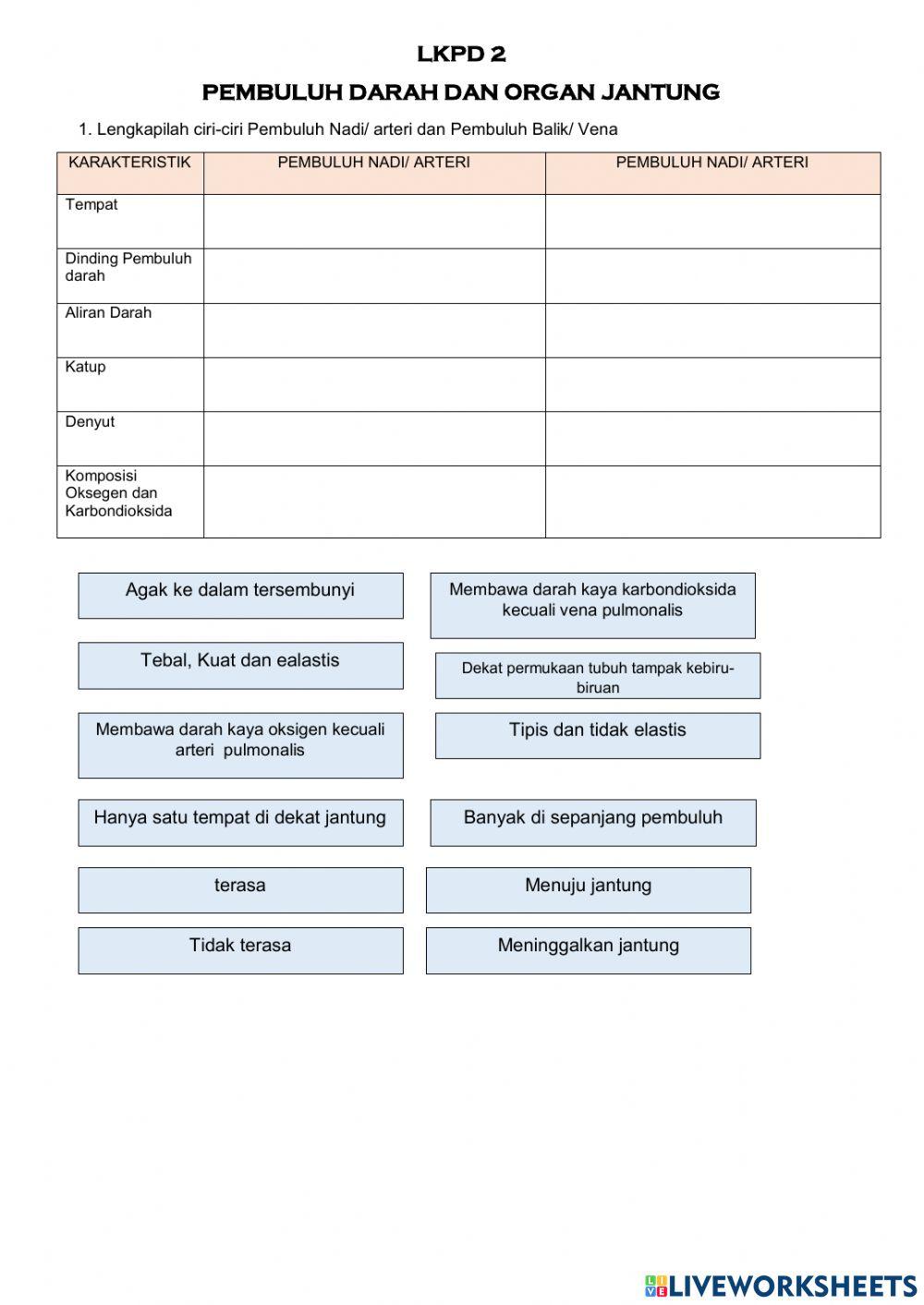 LKPD 2 Pembuluh Darah & Organ Jantung