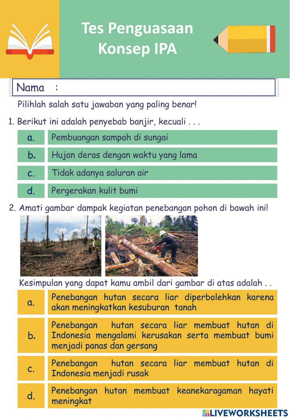 Tes Penguasaan Konsep