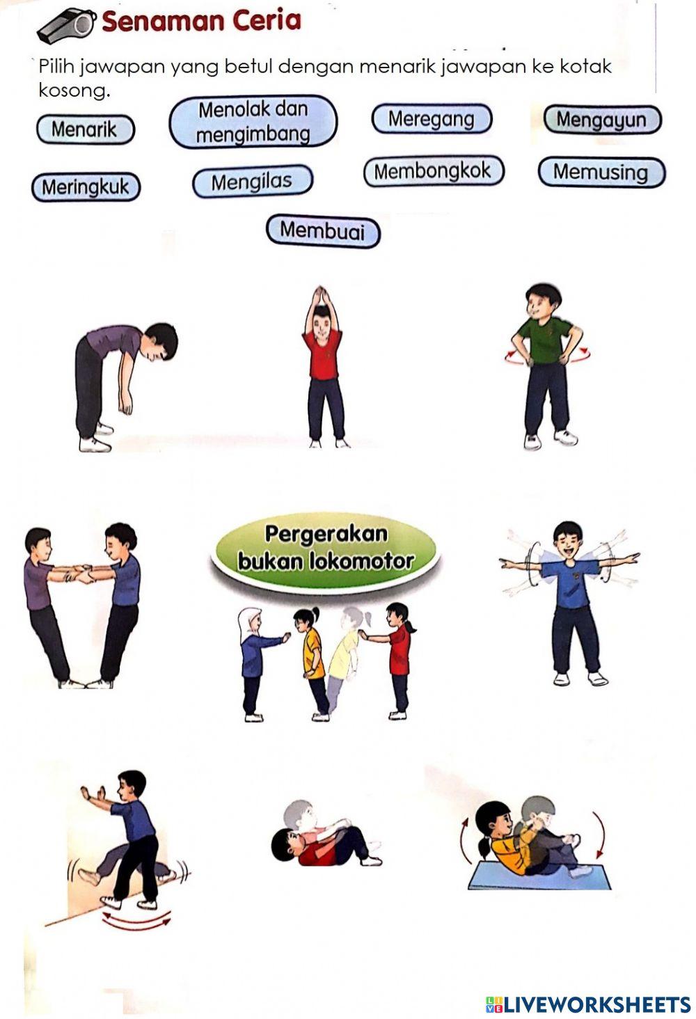 Pendidikan Jasmani Tahun 2