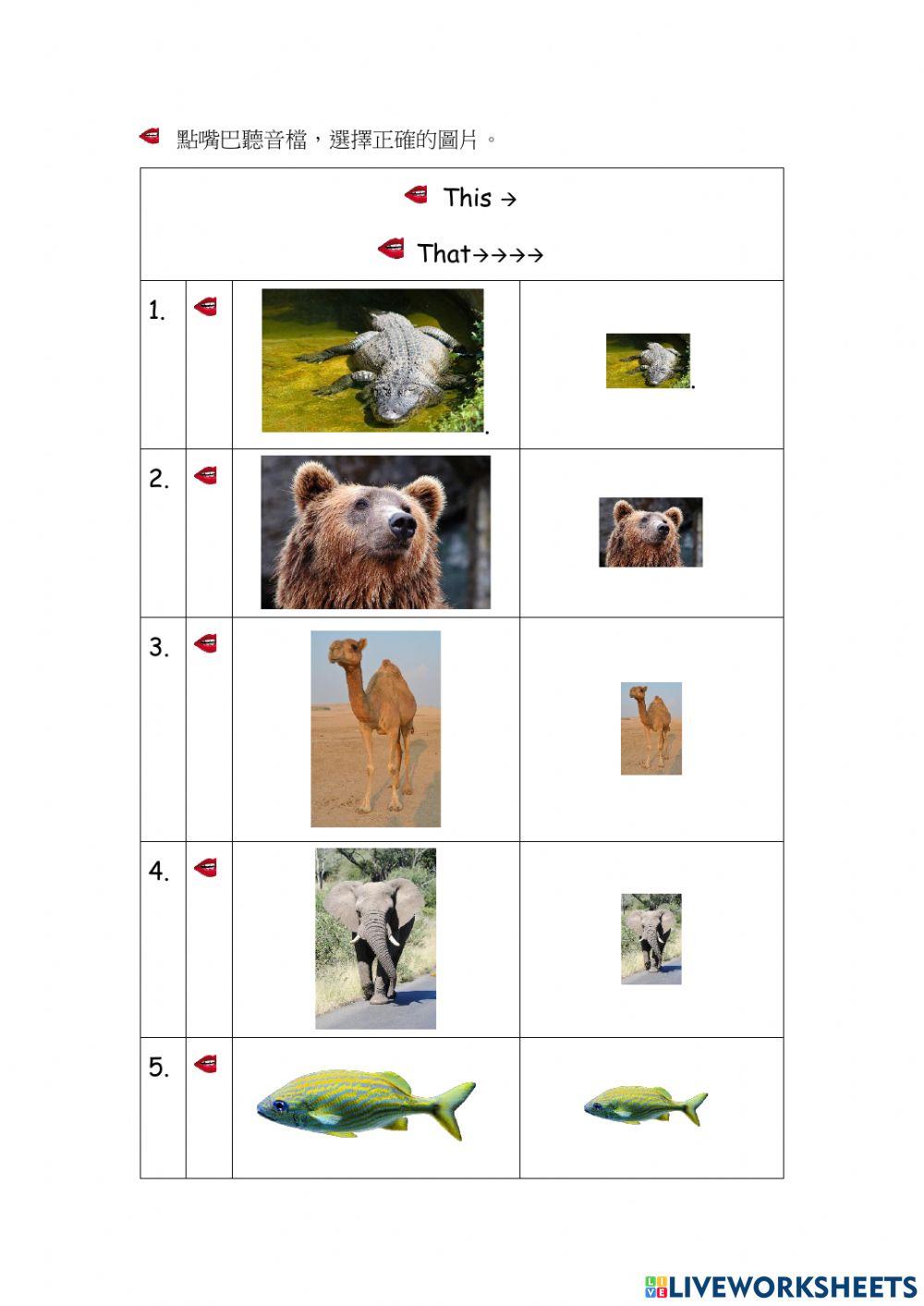 This or That (1) (Listening)