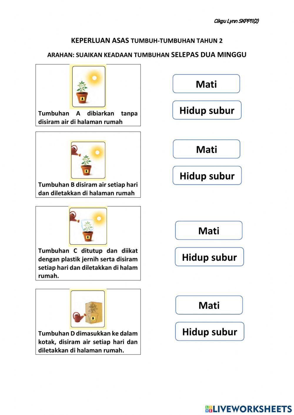 Keperluan asas tumbuhan tahun 2