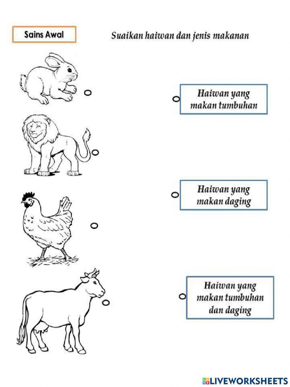 Suaikan haiwan dengan jenis makanannya worksheet | Live Worksheets