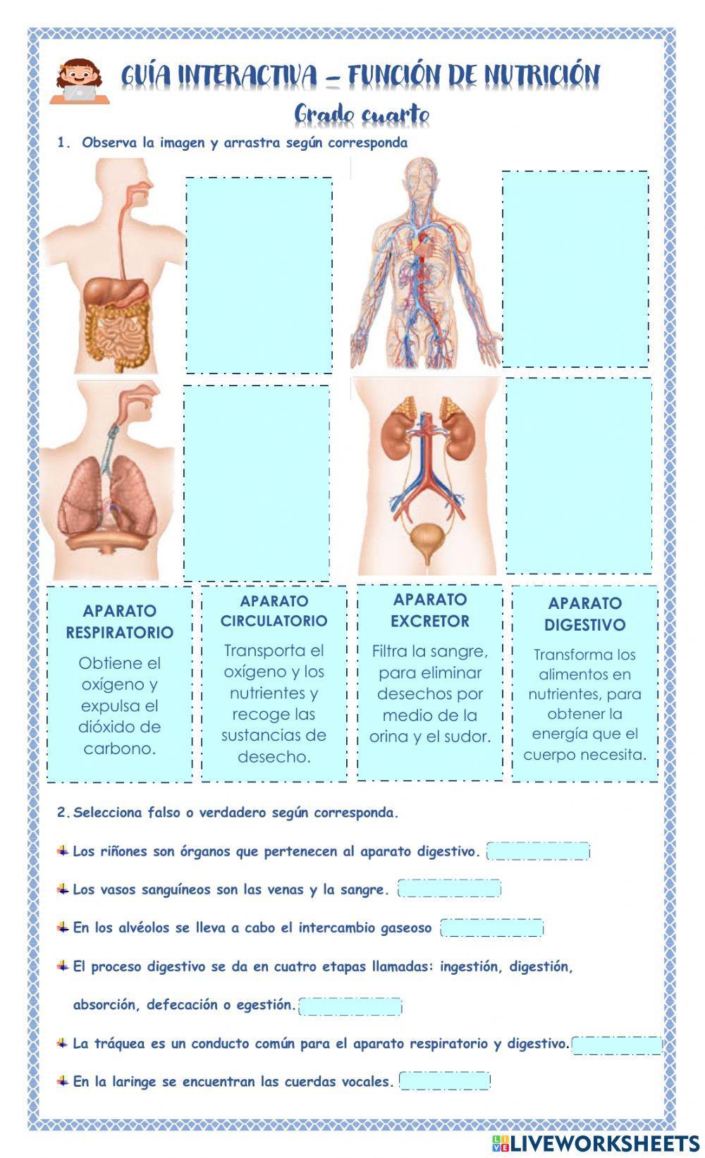 Función de nutrición