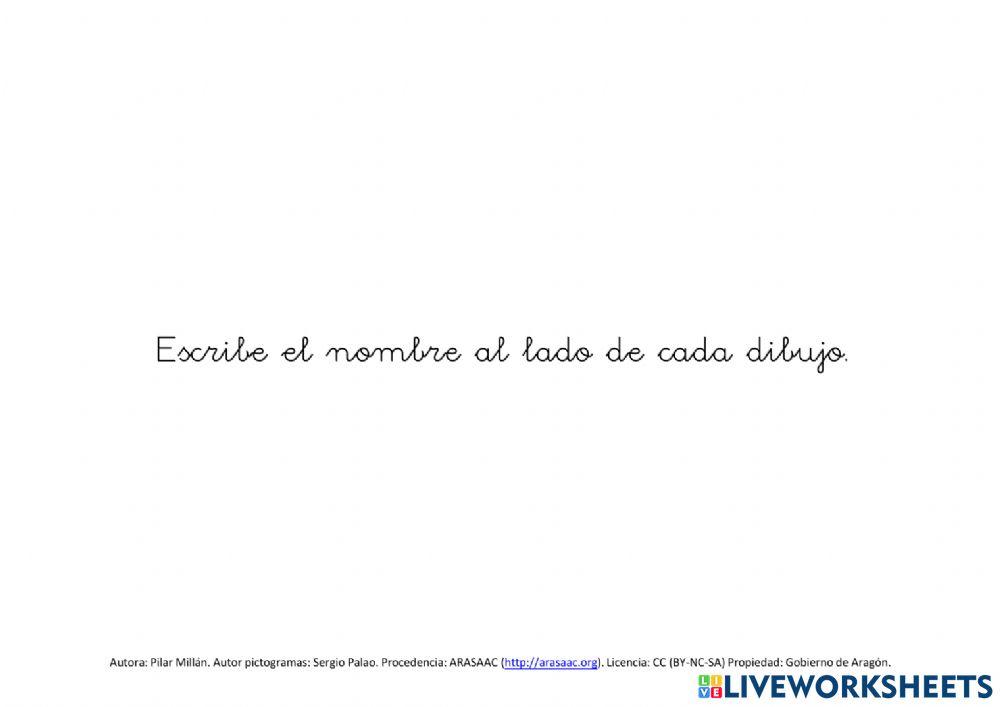 Autodictado palabras con ñ, ch y ll