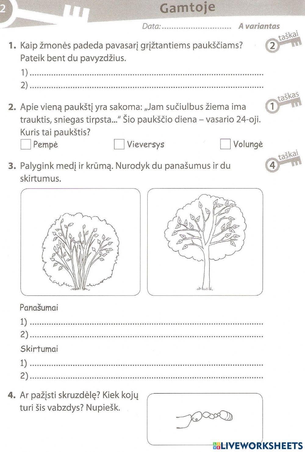 Pasitikrinamasis darbas.