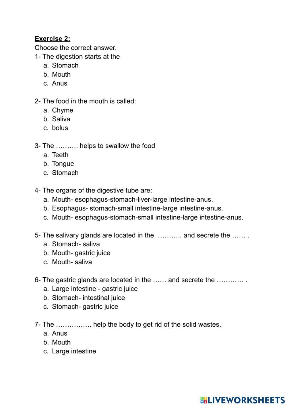 grade 5 digestive system worksheet cedar house school