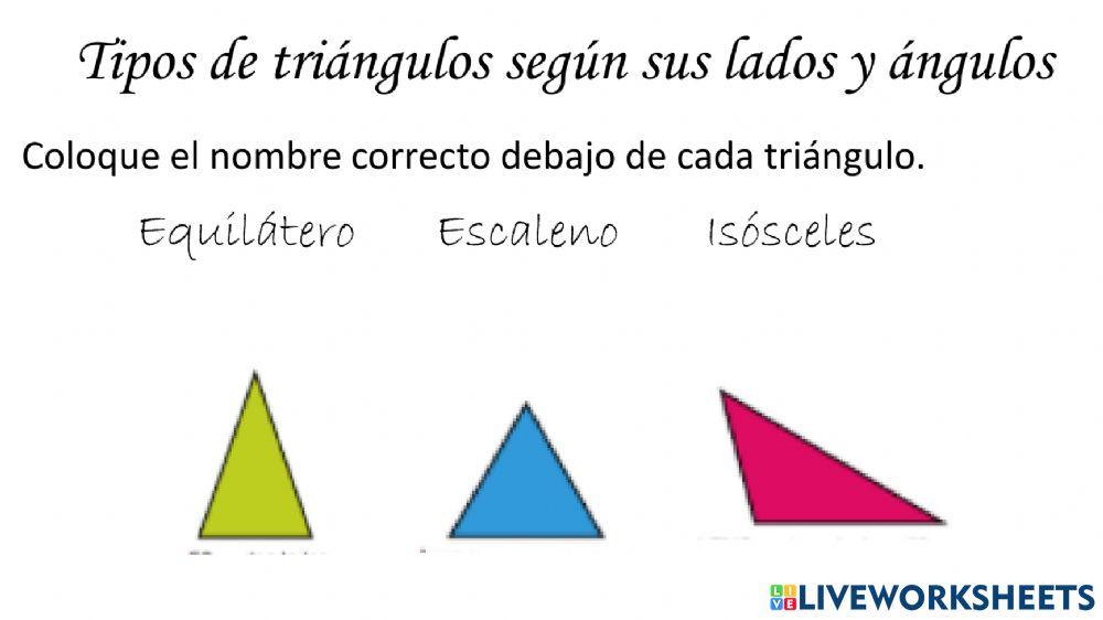 Triángulos según sus lados y ángulos worksheet | Live Worksheets