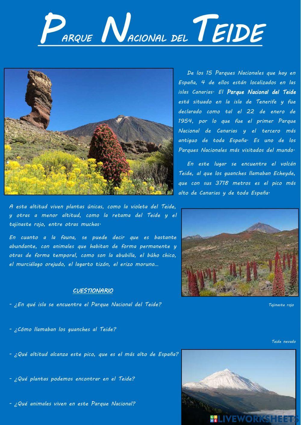 Parque Nacional del Teide