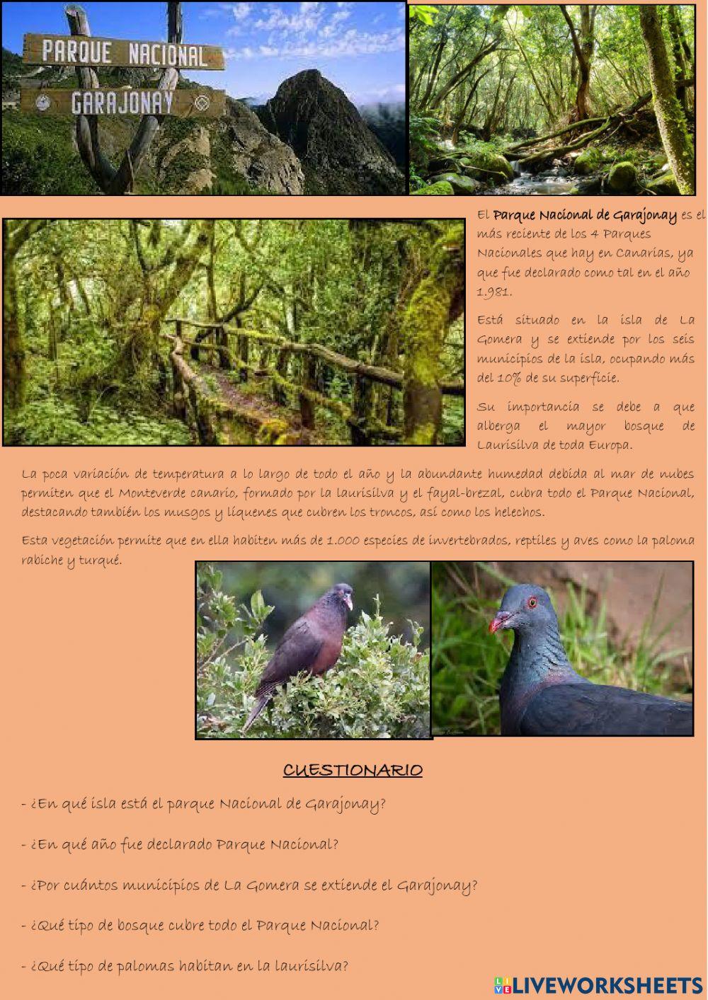 Parque Nacional de Garajonay