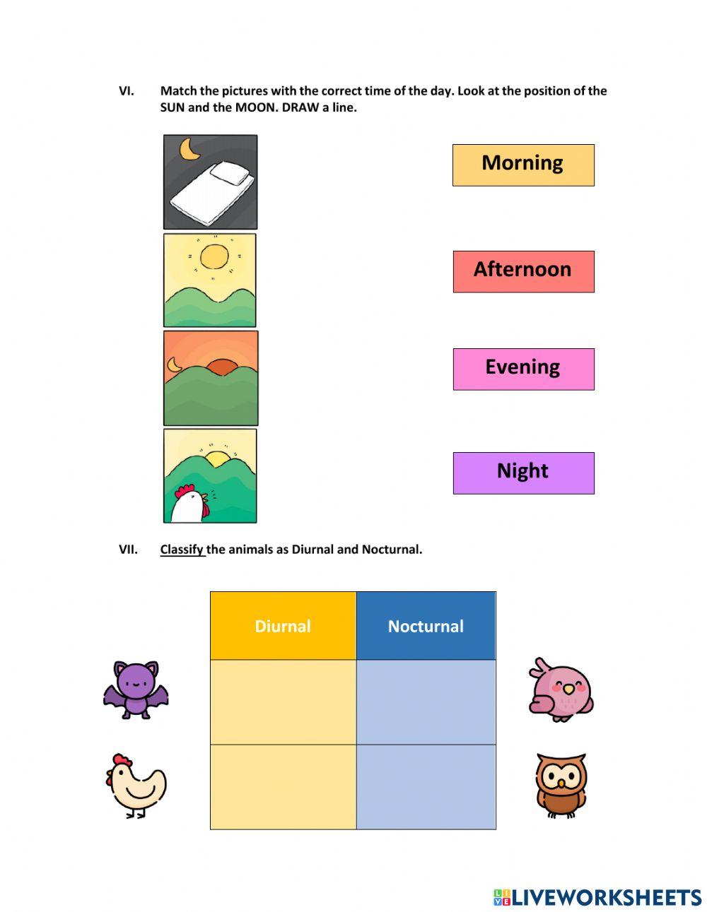 1st Grade Third Trimester Science Exam