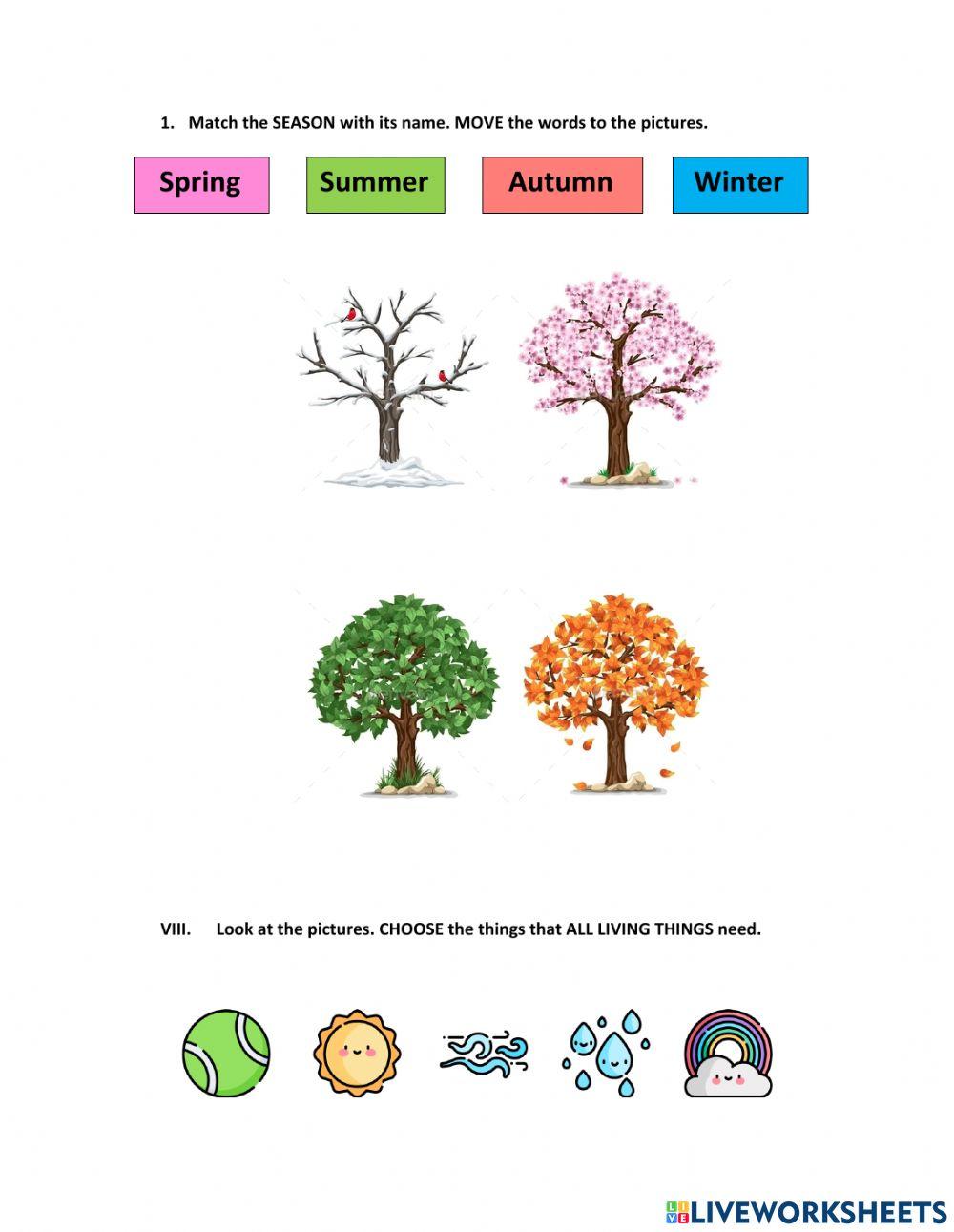 1st Grade Third Trimester Science Exam