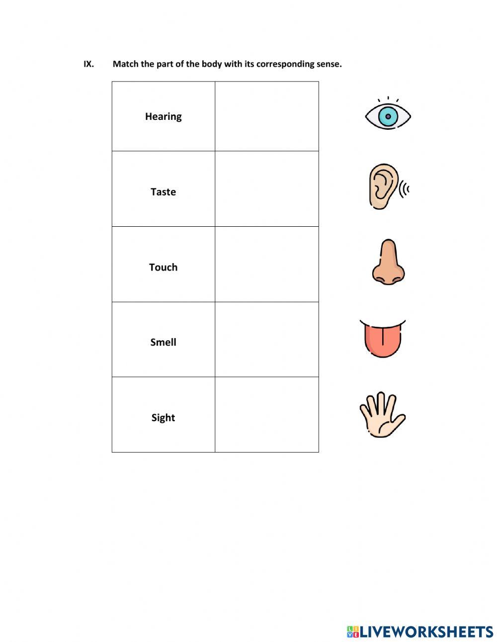 1st Grade Third Trimester Science Exam