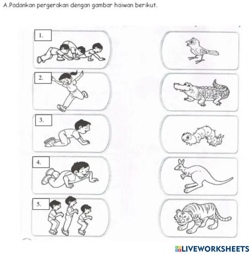 Pendidikan Jasmani Tahun 1 (Pergerakkan Haiwan)