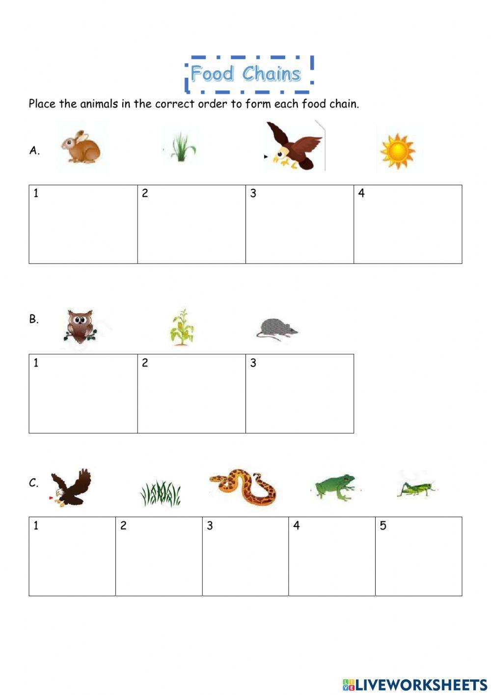 Food Chains