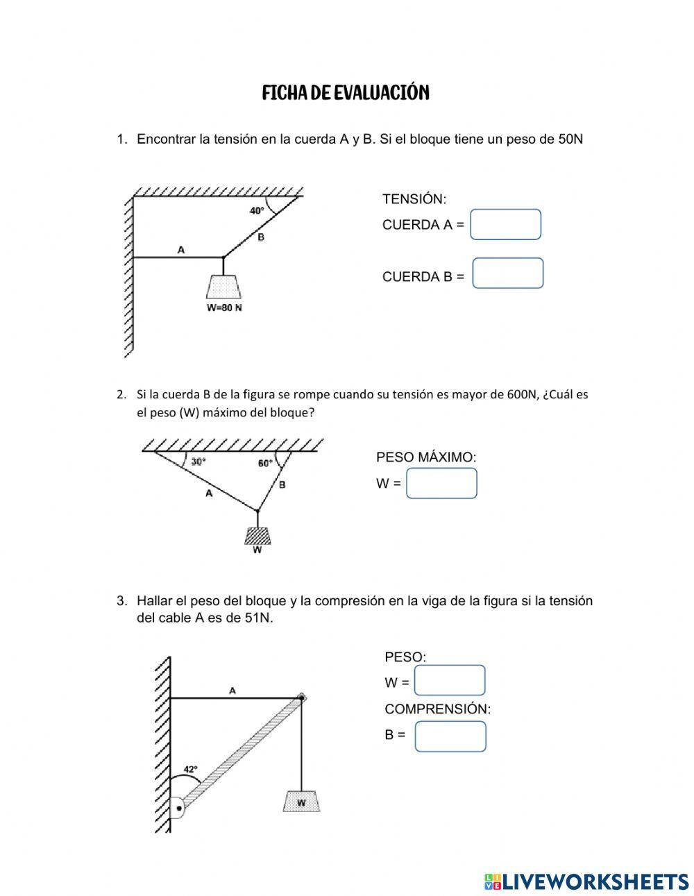 Ficha de Evaluación