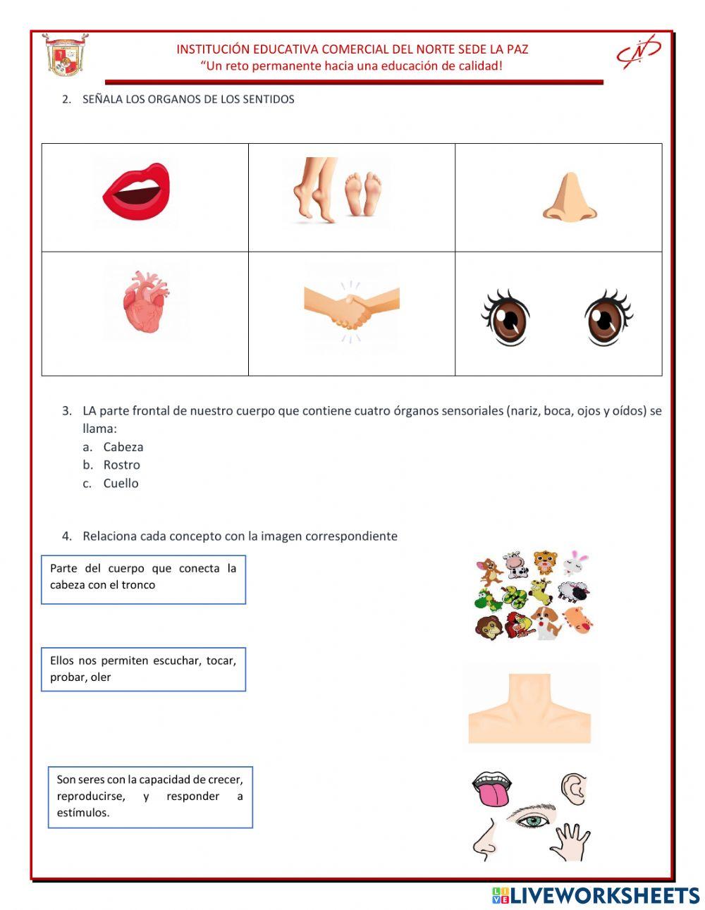 Ciencias naturales peimero