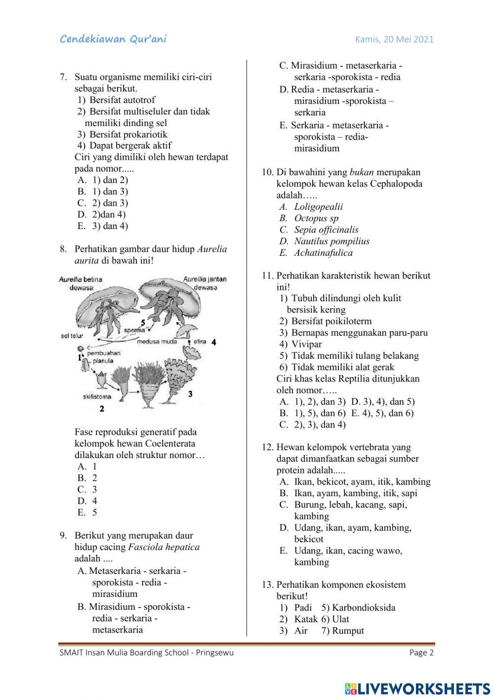 Kuis 1 Kingdom Plantae