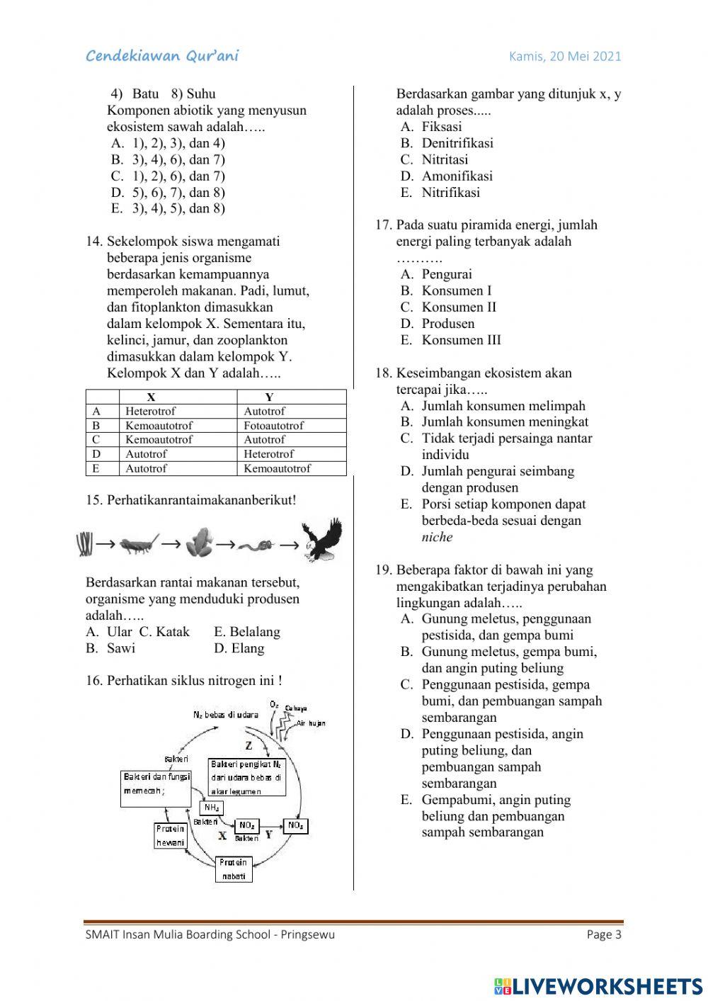Kuis 1 Kingdom Plantae