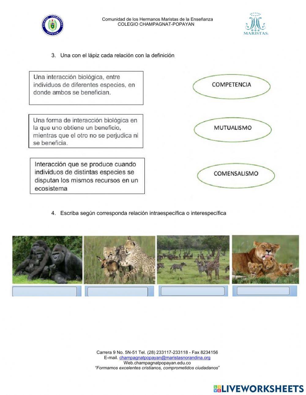 Relaciones intraespecíficas e interespecíficas