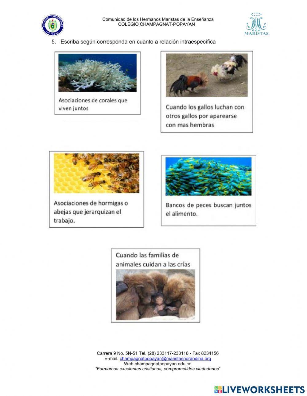 Relaciones intraespecíficas e interespecíficas