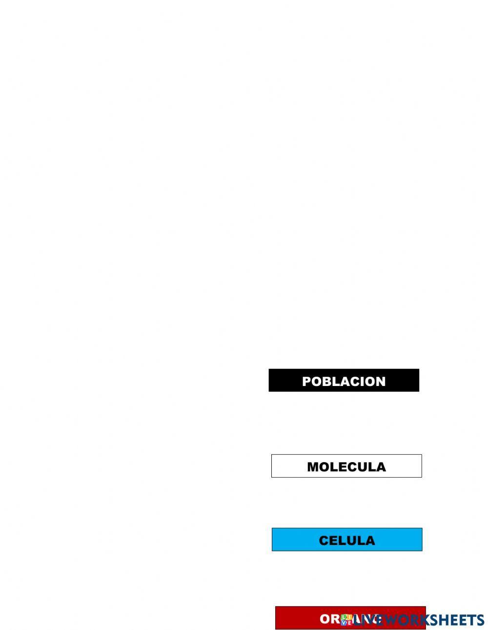 Aparato respiratorio