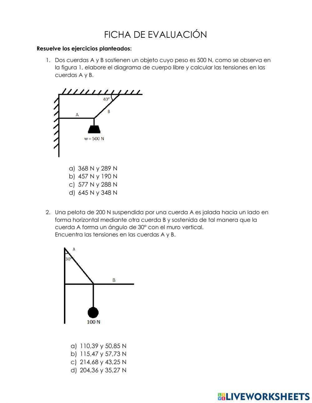 Equilibrio traslacional - Ficha de evaluación