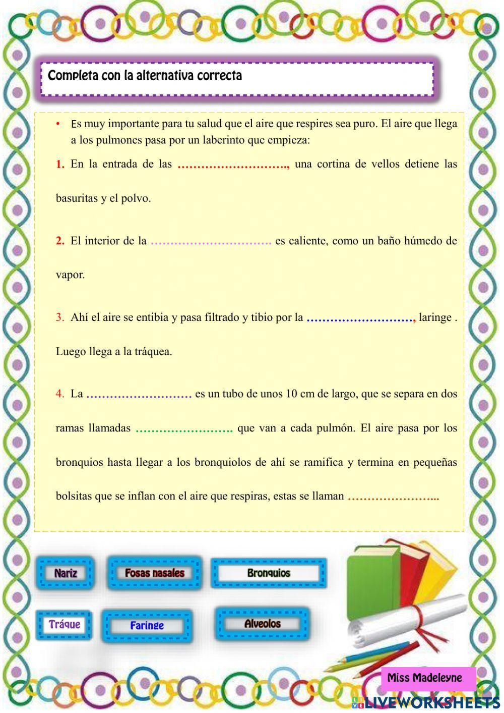 Recorrido y proceso de la respiración