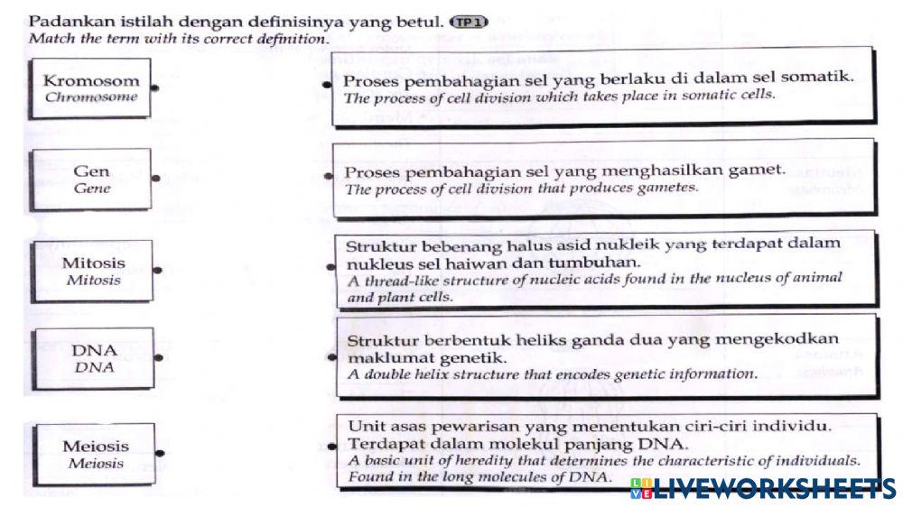 Sc T4 Bab 5 Genetik Latihan 1