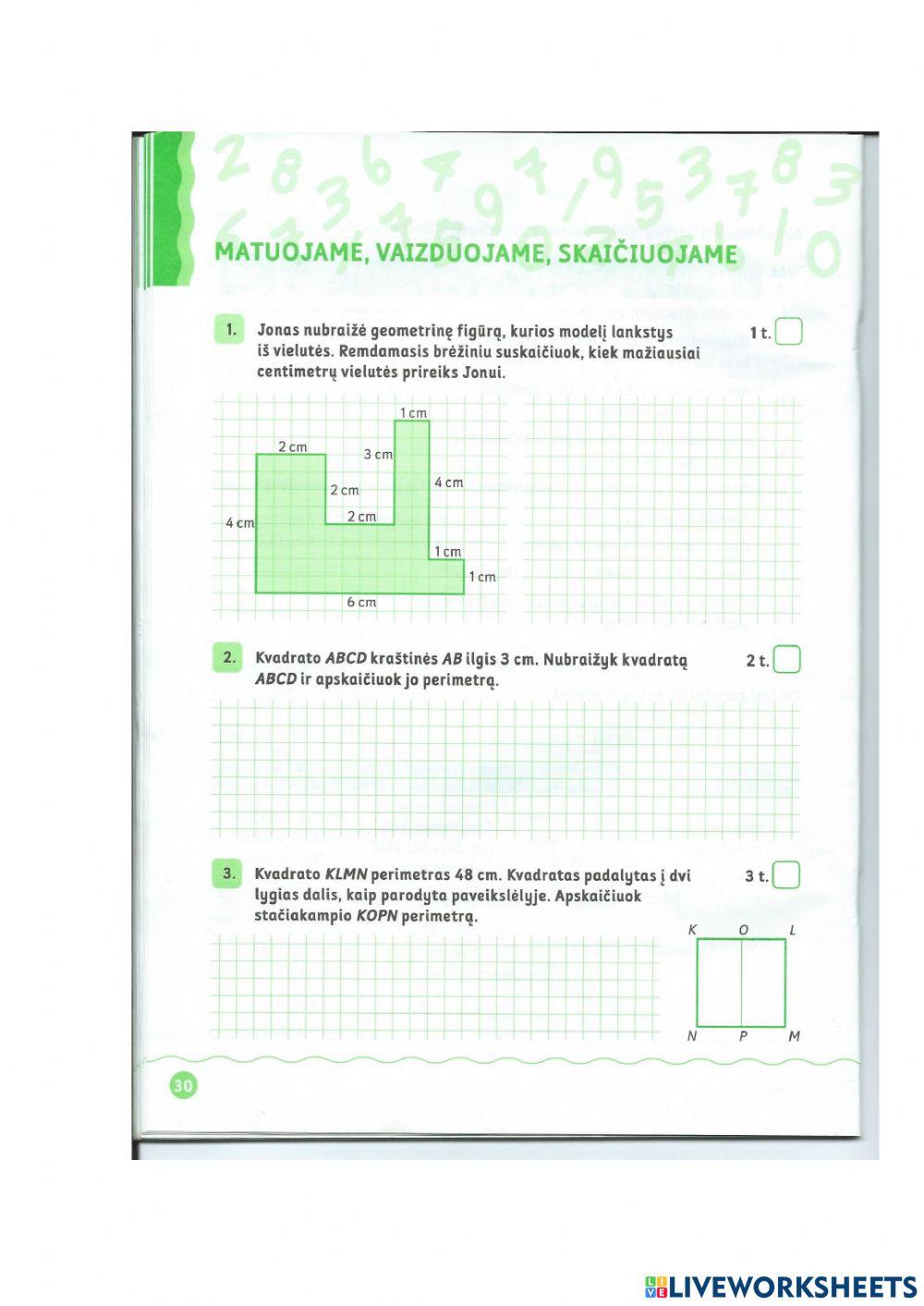 Matematika. Pasitikrinamasis darbas