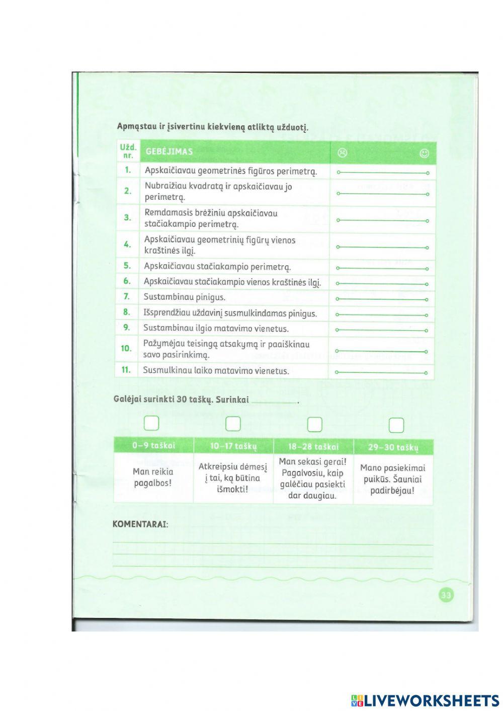 Matematika. Pasitikrinamasis darbas