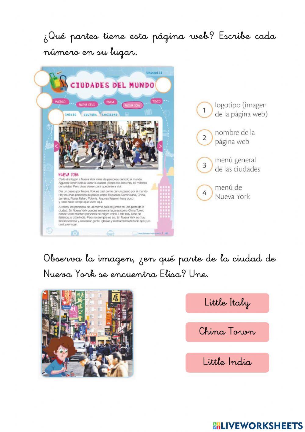 Comprensión lectora T11