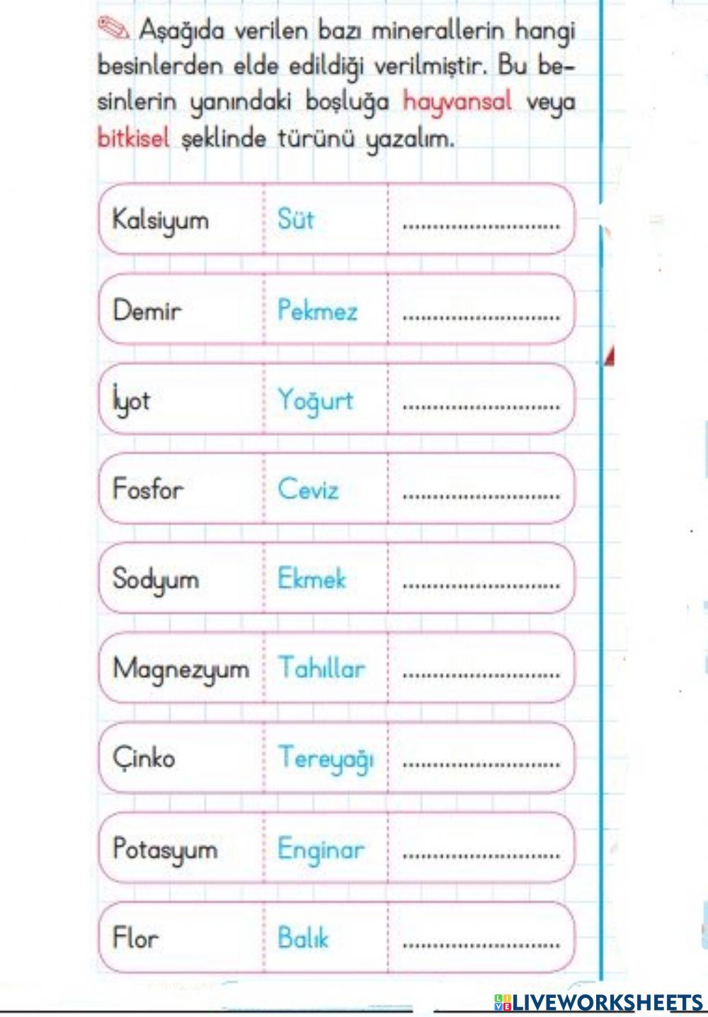 Bitkisel mi? Hayvan mı? 1