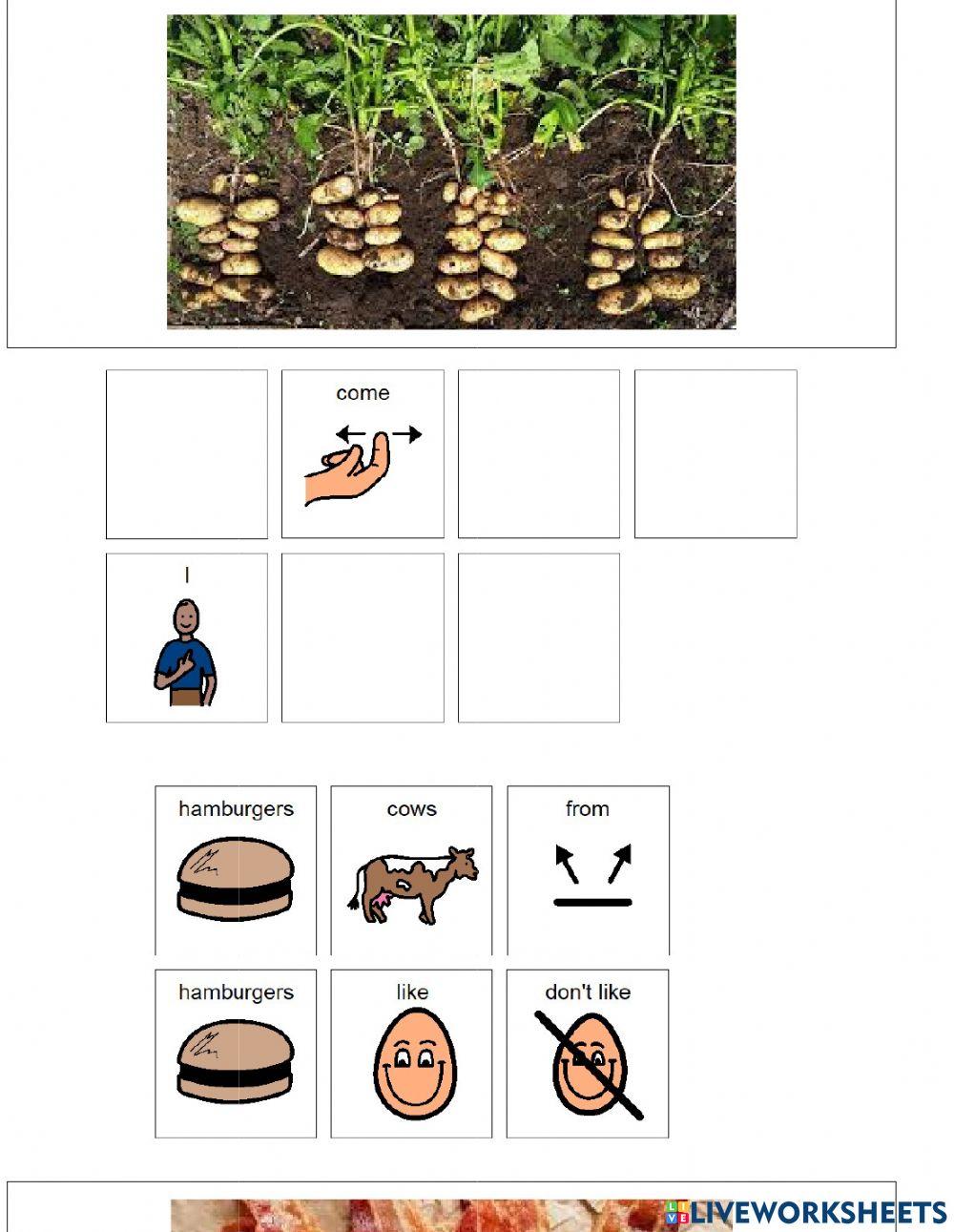 Food from animals Food from animals