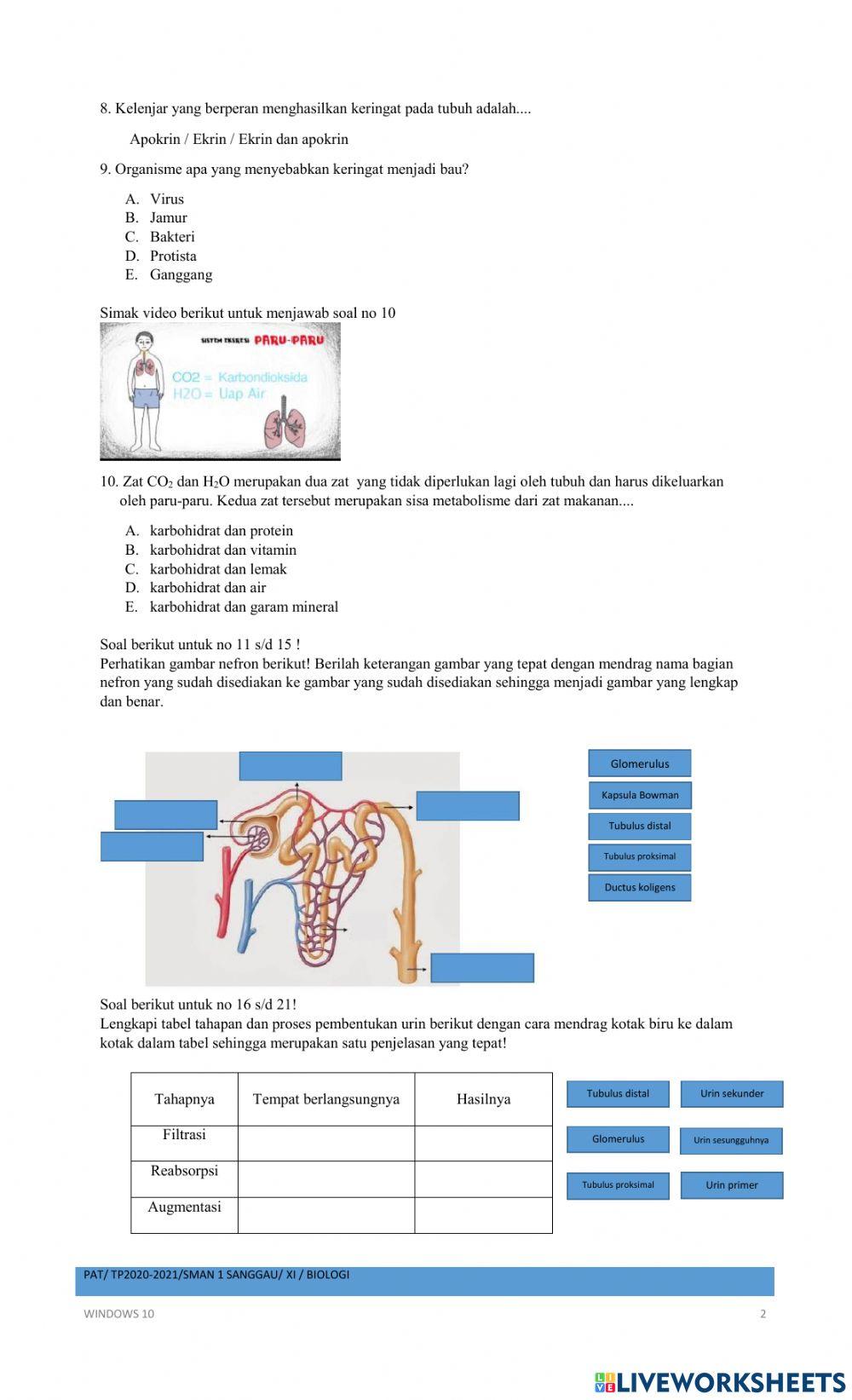 Pat biologi 2020-2021